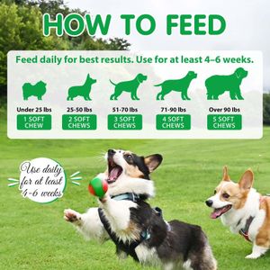 Dog Probiotics Chews – 120 Count Digestive Supplement for Pets