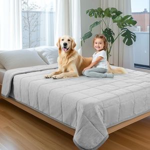 Cooling Blanket for Dogs，Q-MAX 0.4 Cool to Touch Cooling Blankets for Hot Sleepers/Kid/Pet,Soft Lightweight Pet Throw Blanket for Bed Couch Sofa Cover,Cooling Blanket Dog Mat for Summer,60x80in,Grey