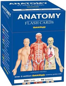 Anatomy Fl