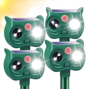 4Pack Sola