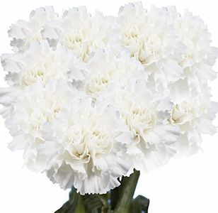 White Carnations- 100 Flower Delivery