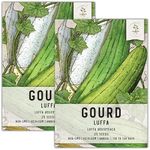 Seed Needs Luffa Seeds for Planting - Non-GMO, Heirloom & Untreated - Organically Grow Loofah Sponges Outdoors in a Home Grown Garden (2 Packs)