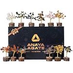 ANAYA AGATE Crystal Tree - Chakra T