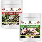 Sansar Agro® NPK Plumeria Care Kit (NPK Growth 200 gm + NPK Flower 200 gm), Essential NPK Fertilizer for a Healthy Plant and maximising Growth in Plumeria Plant.