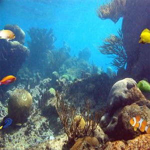 Animated Sea