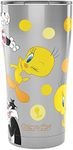 Tervis Warner Brothers Tweety 80th Anniversary Triple Walled Insulated Tumbler Travel Cup Keeps Drinks Cold & Hot, 20oz Legacy, Stainless Steel, 1 Count (Pack of 1)