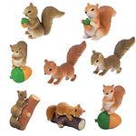 Squirrel Toys