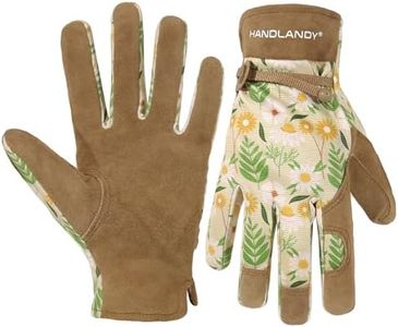 HANDLANDY 
