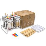 Ecozoi Stainless Steel Popsicle kulfi Moulds and Rack - 6 Ice cream Makers + 30 Reusable Bamboo Sticks + 12 Silicone Seals + 1 Rack