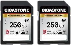 Gigastone 256GB 2-Pack SD Card A2 V