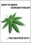 How to grow cannabis strains... the
