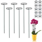 Metal Plant Support Stakes for Garden - 6 Pack 40cm Tall Plant Cage Support Rings with 10 pcs Plant Clips Single Stem Plant Support for Vegetable Tomatoes Peony Rose Flowers Stem Climbing