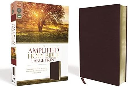 Amplified Holy Bible, Large Print: Captures the Full Meaning Behind the Original Greek and Hebrew [Burgundy]