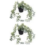 Ikea FEJKA Artificial Potted Plant, Hanging/Trailing Eucalyptus, 58x9 Centimetres - Set of 2