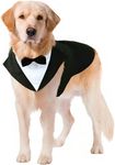 Puptail Dog Suit or Dog Tuxedo and Bandana Set, Dogs Wedding Party Suit, Dog Wedding Bow Tie Shirt Formal Dog Weeding Attire for Large and Medium Dogs Golden Retriever, Labrador (Medium)