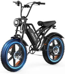 RPINT E500 Electric Bike for Adults 1000W Peak Motor, 20" Fat Tire Electric Bicycles with 40 Miles PAS Range, 48V Removable Battery, 7 Speed E-Bike for Mountains, Sand, Road, Beach, Snow