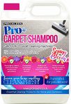 Walmart Carpet Shampoo