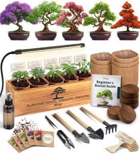 AVERGO Bonsai Tree Kit Deluxe + Growing Light - 5X Unique Japanese Bonzai Trees | Complete Indoor Bonsai Starter Kits for Growing Trees – DIY Gardening Gifts for Mother, Women & Men