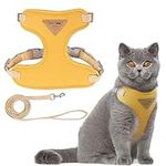 Escape Proof Cat Harness and Lead Set, Soft Mesh Puppy Harness, Adjustable Soft Cat Walking Jackets, Breathable Cat Leash, Comfortable Kitten Harness for Large Medium Small Pets Walking, Orang (M)