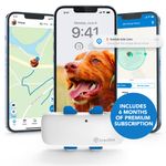 Tractive GPS Tracker for Dogs Including 6 Months Premium Subscription, Recommended by Martin Rütter, Worldwide Live Tracking, Away Alarm, Health Warnings & Activity Tracking, Multiple Test Winner