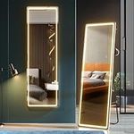 Dystler Full Length Mirror with LED