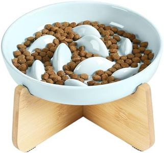 Slow Feeder Bowl with Stand, Elevated Ceramic Cat Bowl for Dry & Wet Food, Anti-Vomiting Puzzle Feeder