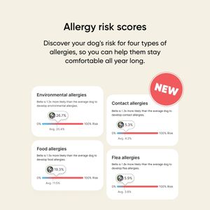Embark Dog DNA Test Kit – Breed Identification & Health Screening