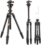 K&F CONCEPT 64 inch/163cm Carbon Fiber Camera Tripod,Lightweight Travel Tripod with 36mm Metal Ball Head Load Capacity 8kg/17.6lbs,Quick Release Plate,for DSLR Cameras Indoor Outdoor O254C2+BH-36L