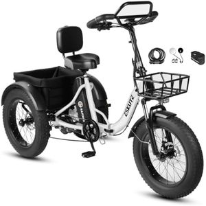 ESKUTE T300 Pro Electric Trike for Adults, 1200W Peak, White with Acc
