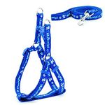 KUTKUT Adjustable No-Pull & No-Choke | Soft Cute Step-in | Small/Medium Dog Girl Boy Harness and Leash Set (Blue, Size: M, Adjustable Chest:41-61 cm)