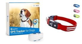 Tractive GPS Dog Tracker + LED Collar. Live Location With Unlimited Range (Red, M)