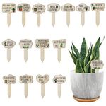 15pcs Garden Plant Markers, Wooden Plant Labels Tab Funny Plant Signs with Stake, Interesting Words & Cute Patterns Garden Tags Labels for Outdoor Indoor Patio Supplies Novelty Gifts