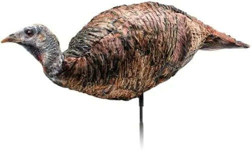 Montana Decoy Miss Purr-FECT XD Hen Decoy