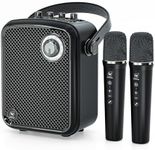Voice Amplifier with 2 Wireless Mic