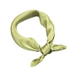 RIIQIICHY 100% Pure Mulberry Silk Scarf for Women 21"Square Satin Head Hair Neck Scarves Luxury Small Lightweight Neckerchief