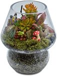 Glass Terrarium, Plant Propagation Station Canning Jars Candy Vase with Lid for Plants Live Houseplants Storage Moss Succulent Live Snail Container Desktop Decor DIY Ecosystem Gifts | No Plant