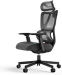 ProtoArc EC100 Ergonomic Office Chair – Computer Desk Chair for Work with 10cm Thicker Spring Cushion, Lumbar Support, Adjustable Armrest & Headrest, Swivel Mesh Chair for Home Office, Black