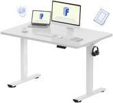 FLEXISPOT EN1 One-Piece Electric St