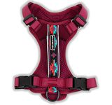 Wilderdog Lightweight Dog Harness with Reflective Straps - Small - Huckleberry
