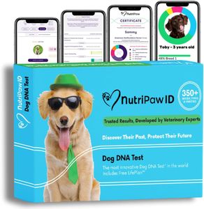NutriPaw Dog DNA Test Kit – Breed & Health Screening