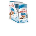 Royal Canin Medium Puppy Dog Food, Gravy, Chicken Flavor, 14 (Pack of 10)