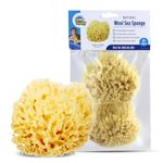 Baby Buddy’s Natural Baby Bath Sponge 2 Pack 4-5” Ultra Soft Premium Sea Wool Sponge Soft on Baby’s Tender Skin, Biodegradable, Hypoallergenic, Absorbent Natural Sea Sponge