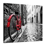 Artistic Path Cityscape Artwork Wall Decor: Bicycle Photographic Prints- Retro Vintage Red Bike in Black and White on Wrapped Canvas for Home Decoration