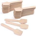 100 Pack Wooden Spoon, Disposable Spoons, Biodegradable and Compostable Wooden Dessert Spoons