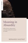 Meaning in Absurdity: What Bizarre Phenomena Can Tell Us About the Nature of Reality