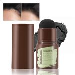 Natural Hairline Powder, Hair Shading Sponge Pen, Hairline Shadow Powder Stick Black - Quick Hair Root Touch-Up Stick For Cover Gray Hair Root (Black)