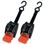 CargoBuckle F103745 Mini G3 Retractable Ratchet Tie-Downs, 2-Pack