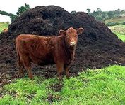 Compost Bag For Food