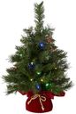 National Tree Company Pre-lit Artificial Mini Christmas Tree | Includes Multi-Color LED Lights and Cloth Bag Base | Majestic Fir - 2 ft