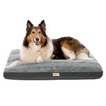 Animal Planet Memory Foam Dog Beds